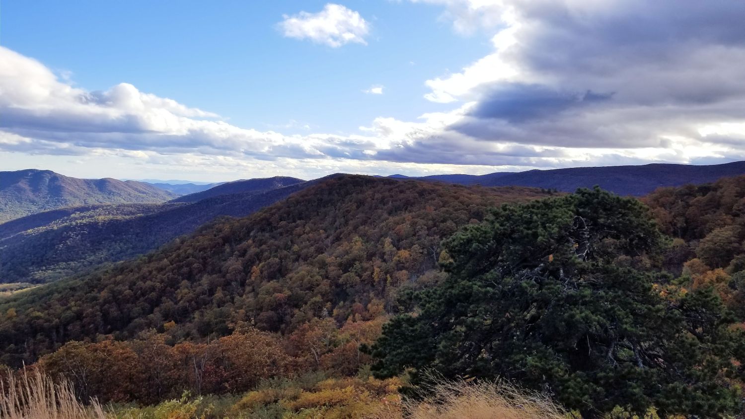 Scenic Drive Over Looks 